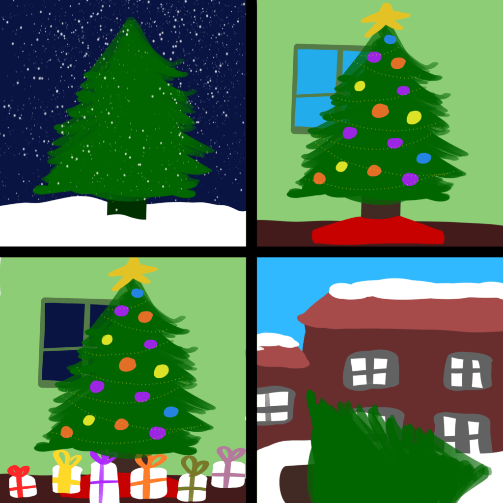 Life of a Christmas Tree